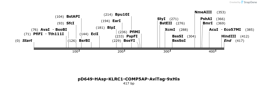 303304_map