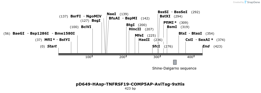 303306_map