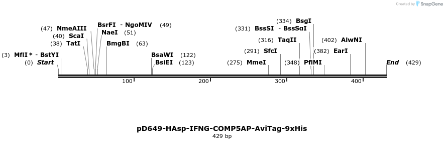 303310_map