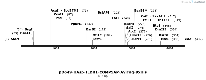 303314_map