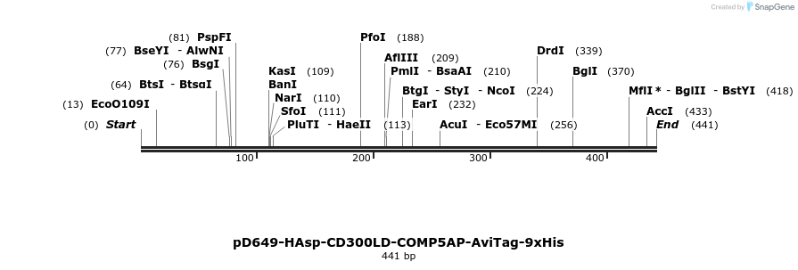 303318_map