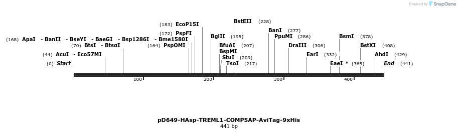 303320_map
