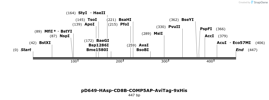 303324_map