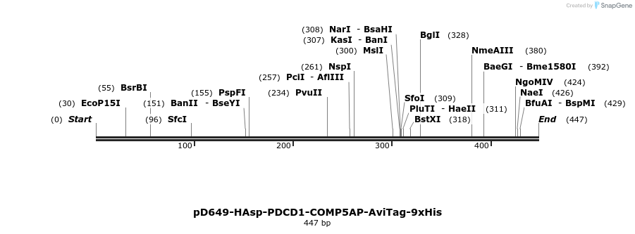 303326_map
