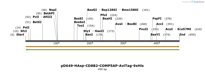 303328_map