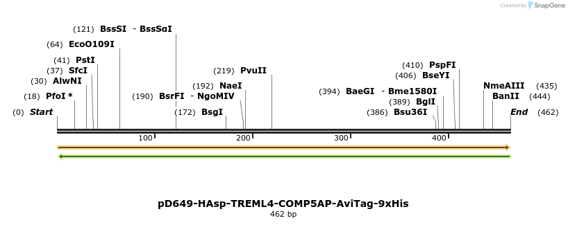 303330_map