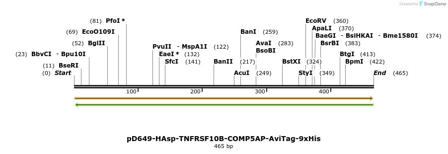 303332_map