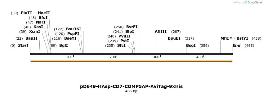 303334_map