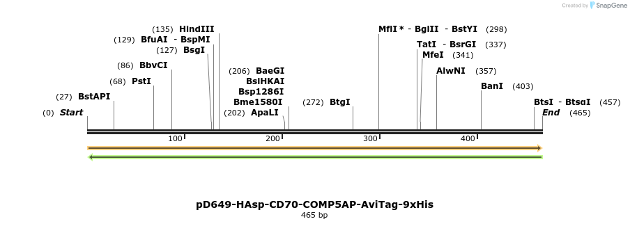 303336_map