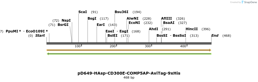 303338_map