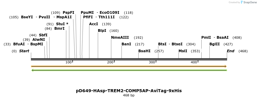 303340_map