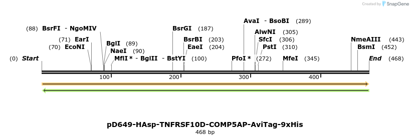 303342_map