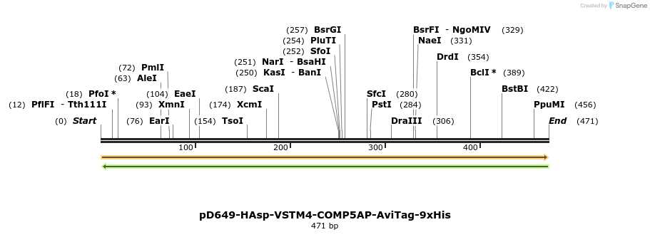303344_map