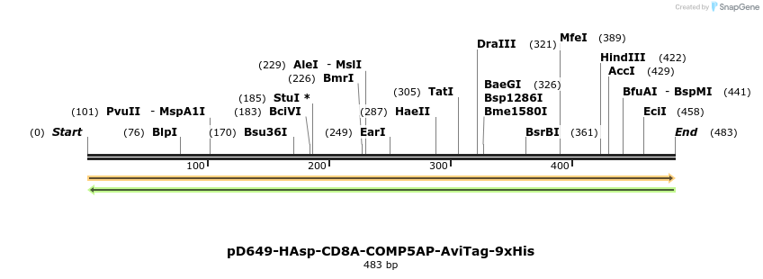 303346_map