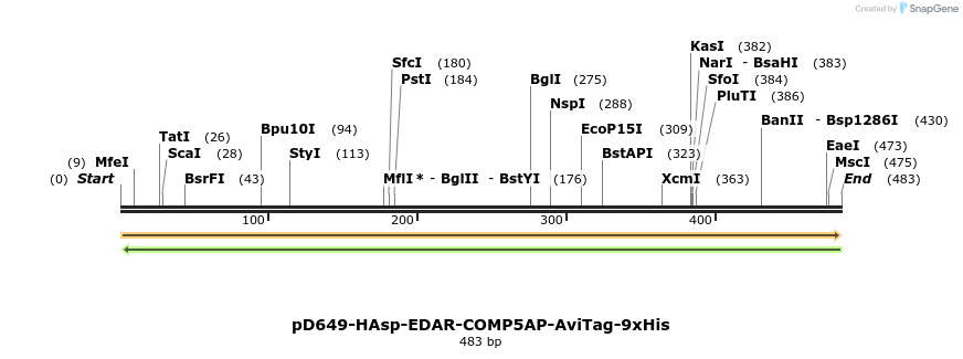 303348_map