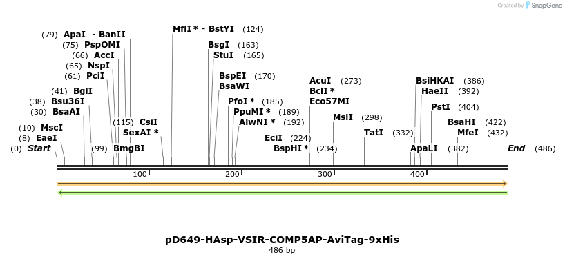 303350_map