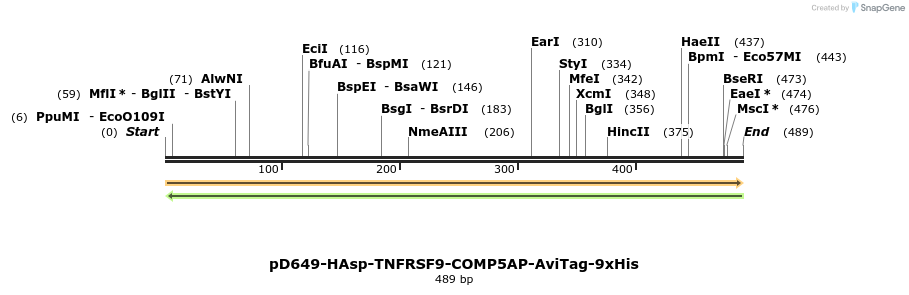 303352_map