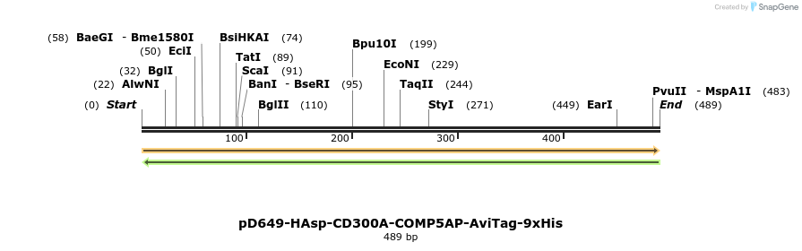 303356_map