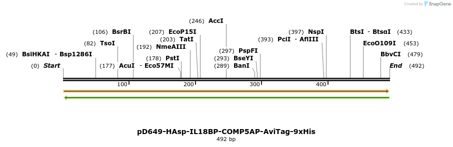 303358_map