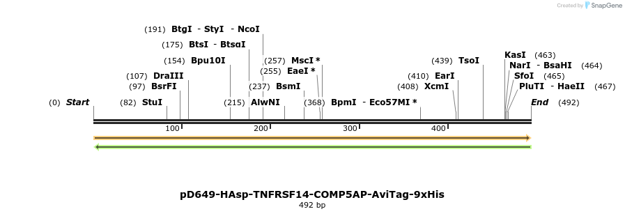 303360_map