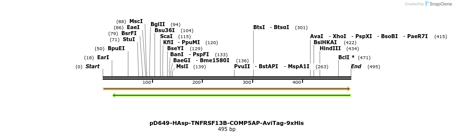 303362_map