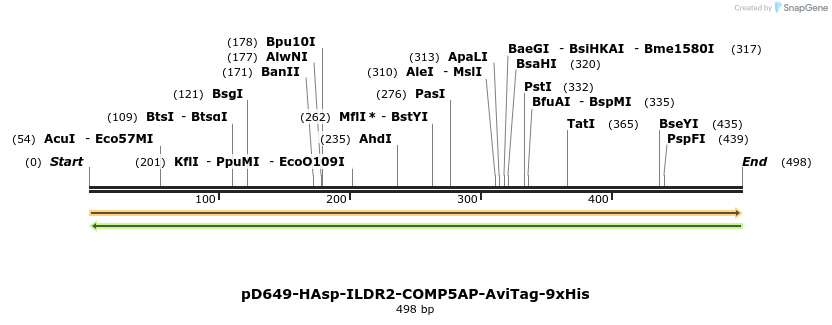 303364_map
