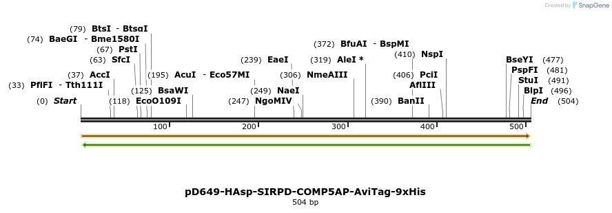 303366_map