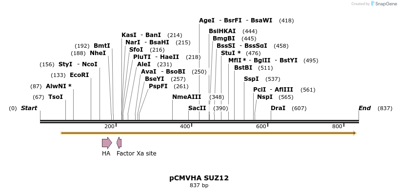 30337_map