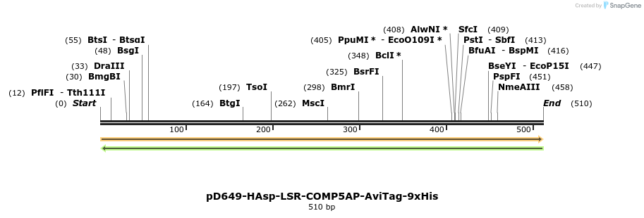 303370_map