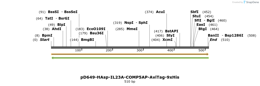 303372_map