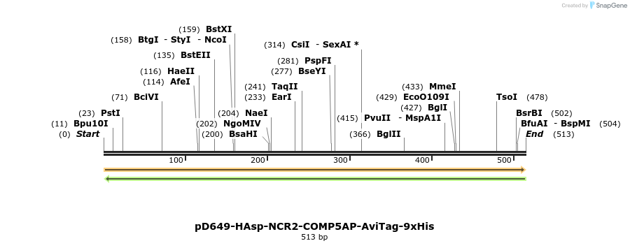 303374_map