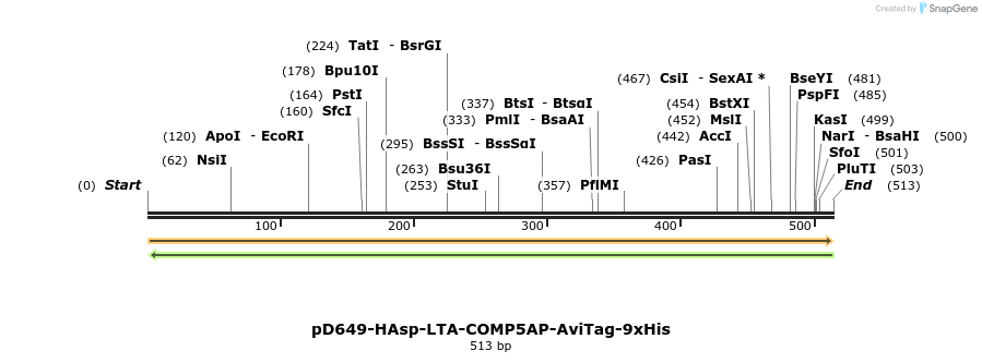 303376_map