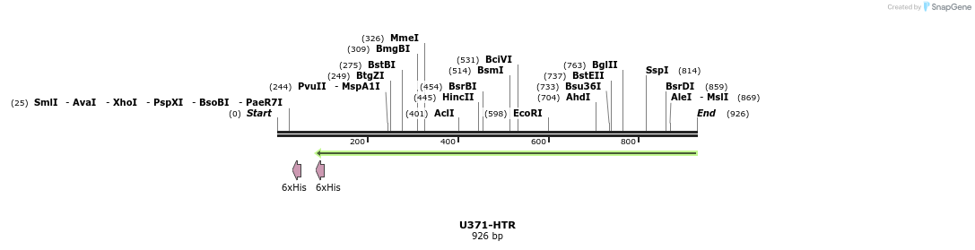 30338_map