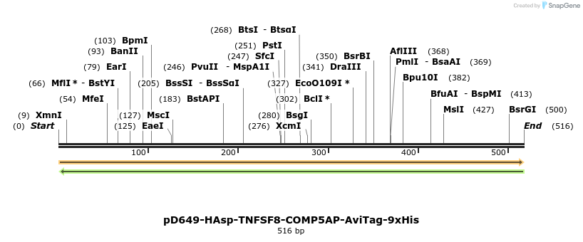 303380_map