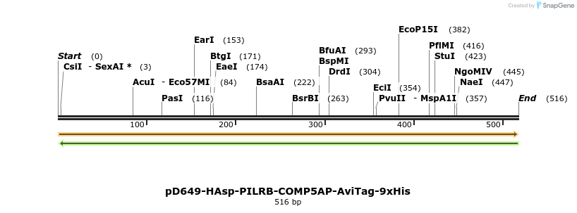 303382_map