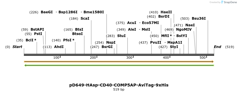 303384_map