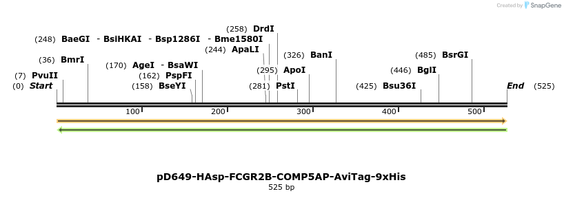 303386_map