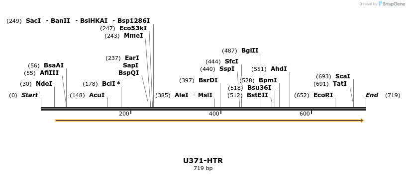 30339_map