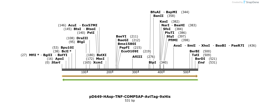 303390_map