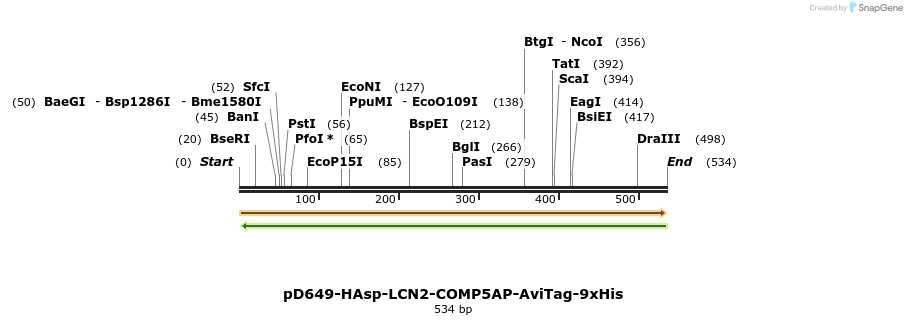 303392_map