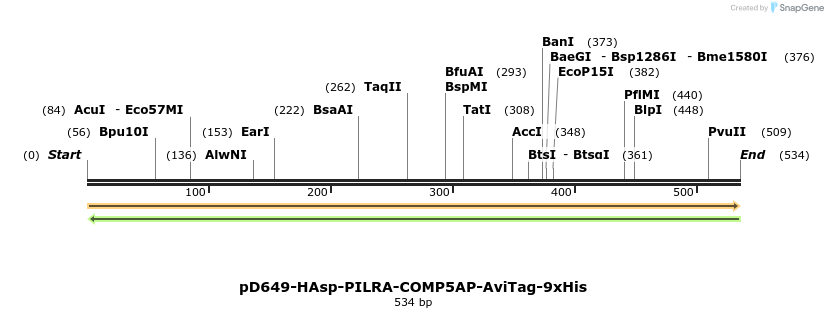 303394_map