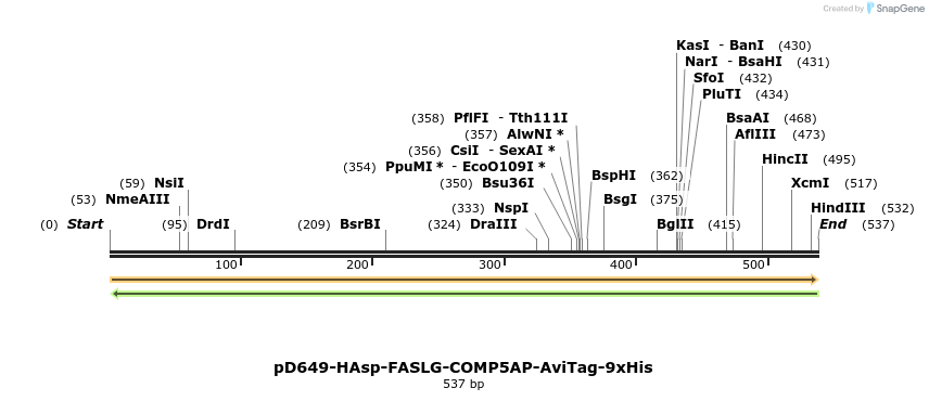 303396_map