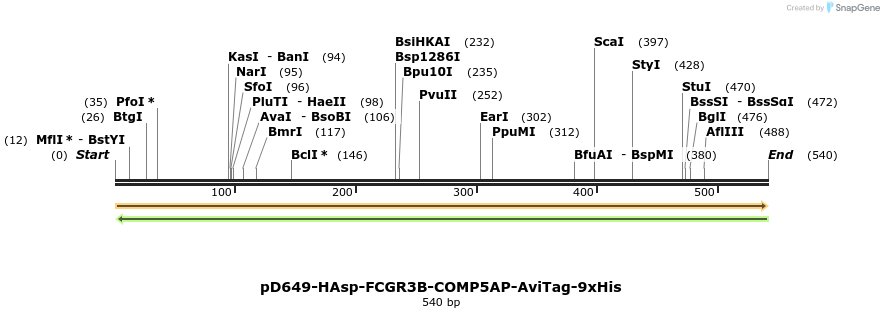303398_map