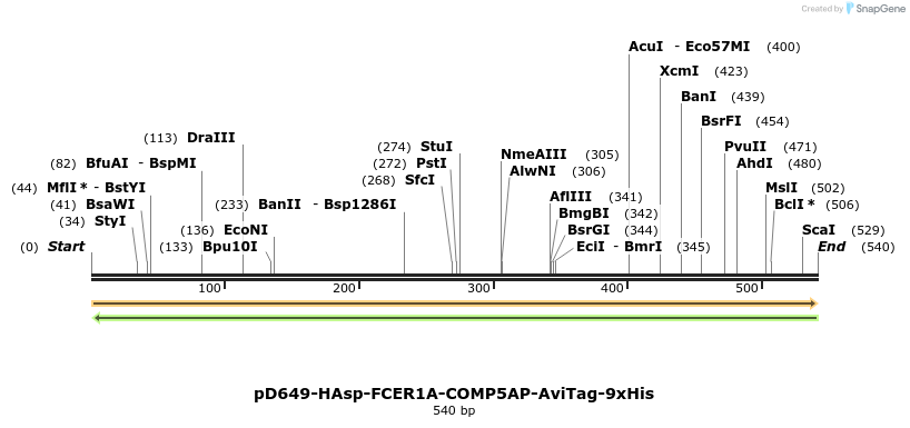 303400_map