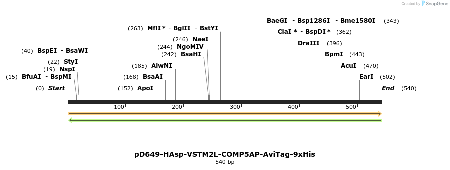 303402_map