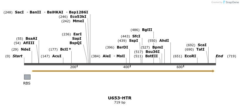 30341_map