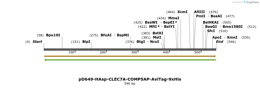 303410_map