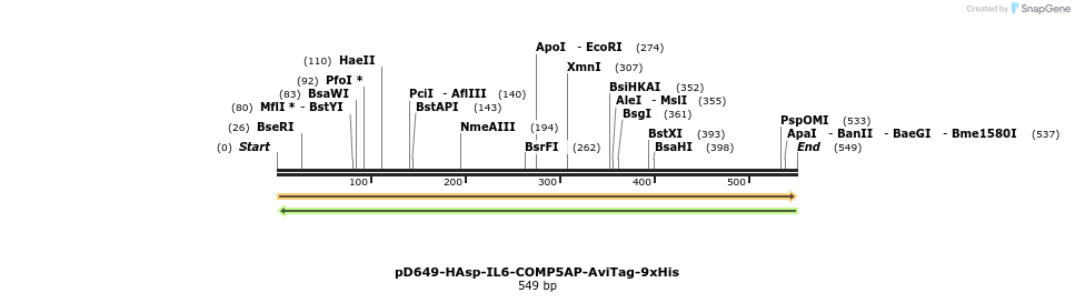 303412_map