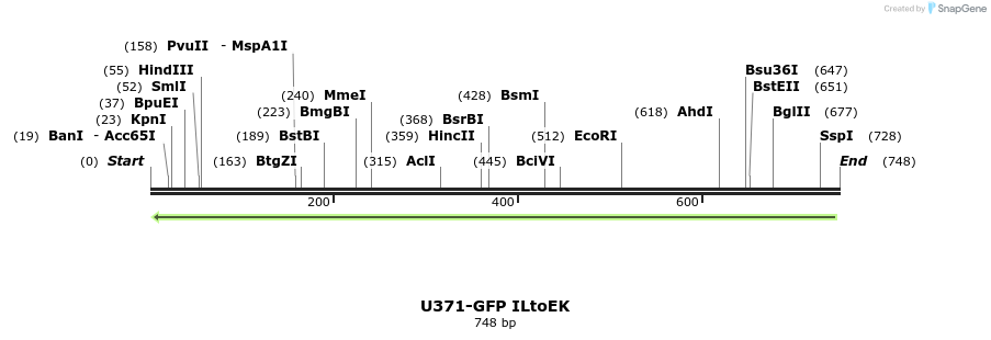 30342_map