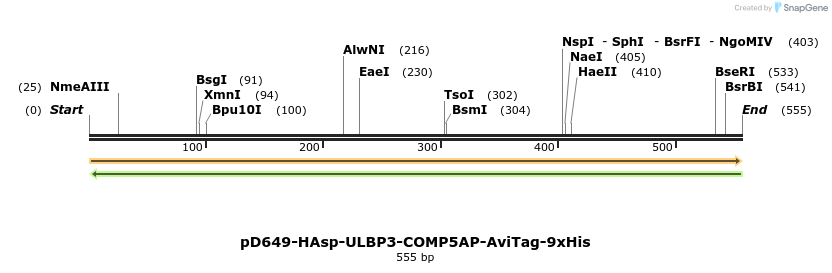 303422_map
